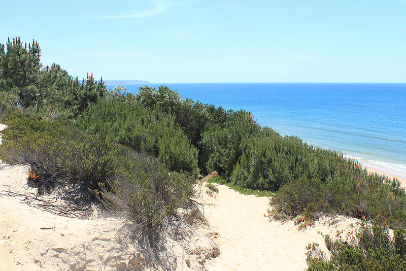 desvio para a praia da adiça