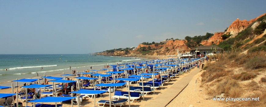 Concessão Este da Praia das Belharucas