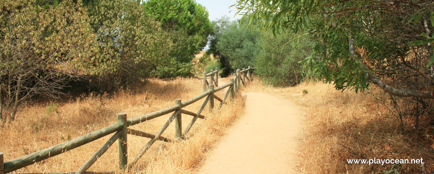 Trail of Praia da Falésia (Alfamar) Beach