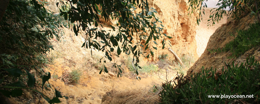 Access to Praia da Ponta Pequena Beach