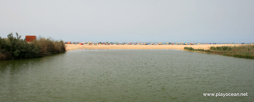 Salgados Lagoon