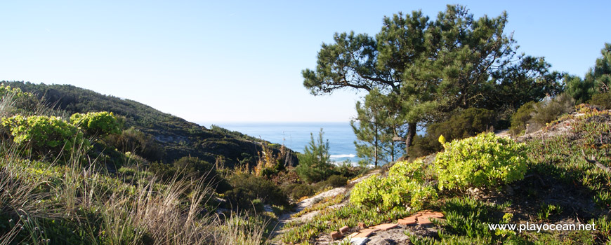 Trilho para a Praia das Águas Luxuosas