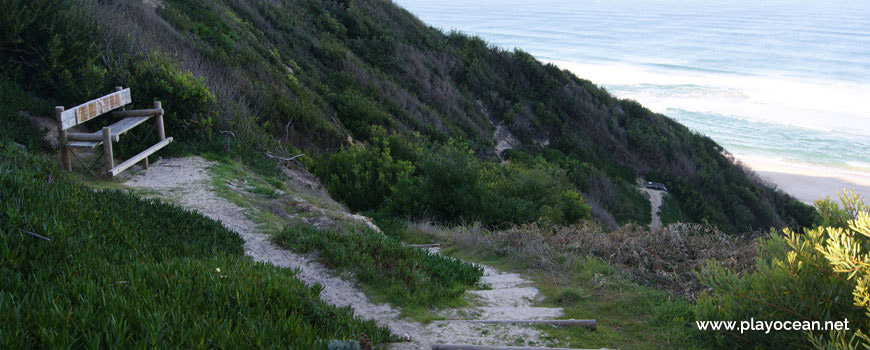 Bench at Praia da Mina Beach