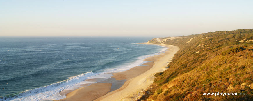 Panoramic of Praia da Polvoeira Beach