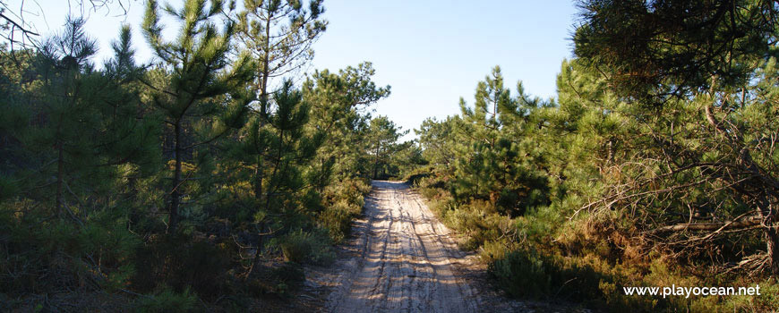 Path to Praia de Vale Pardo Beach