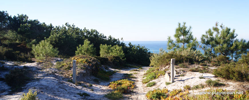 Descent to Praia de Vale Pardo Beach