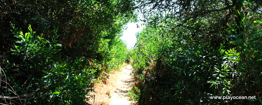 Praia da Adiça Beach trail