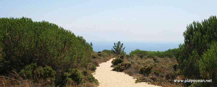 Trail to Praia da Adiça Beach