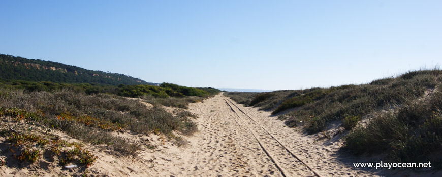 Railway road of the minitrain