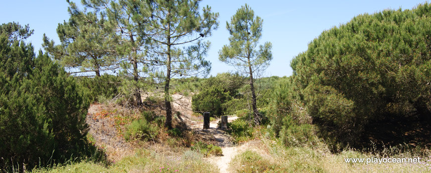 Access to Praia do Dezanove Beach