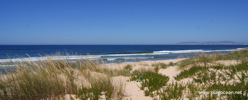 Dunes at Praia do Dezanove Beach