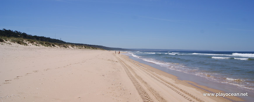 South of Praia do Dezanove Beach