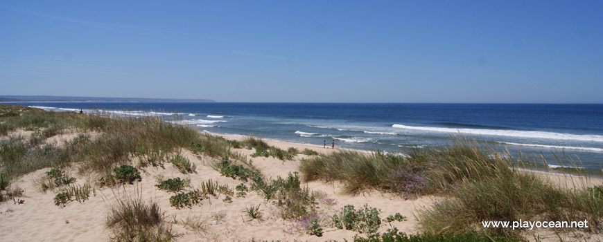 Praia do Dezanove Beach