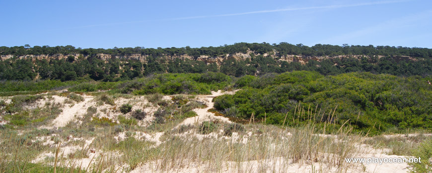 Costa da Caparica Fossil Cliffs