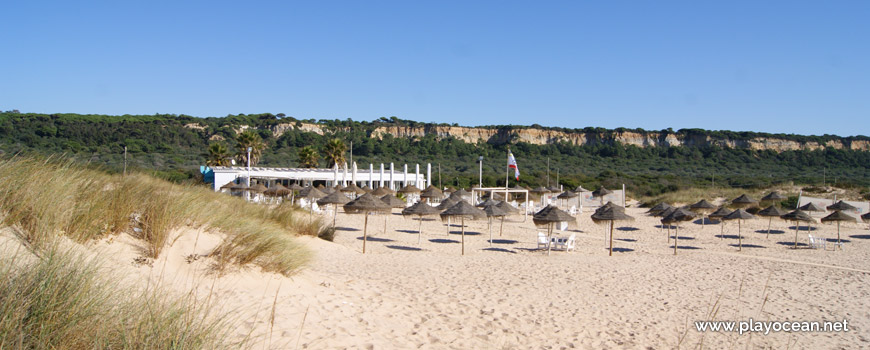 Straw umbrellas, Praia da Morena Beach