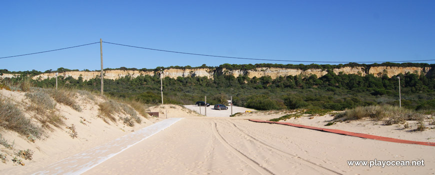 Arriba Fóssil, Praia da Nova Vaga