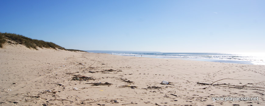 South of Praia da Nova Vaga Beach