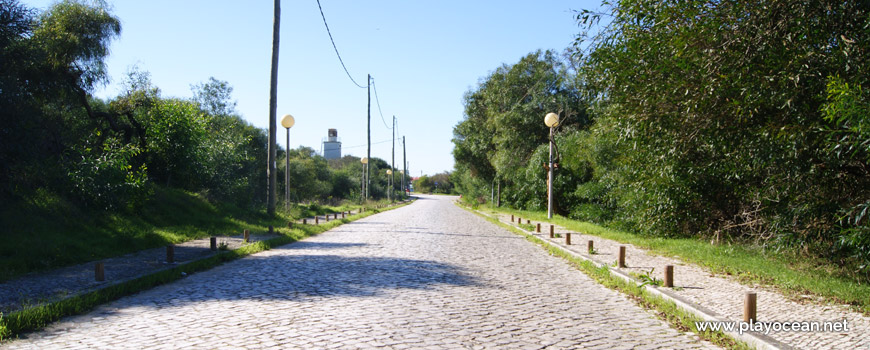 Road to Praia da Rainha Beach