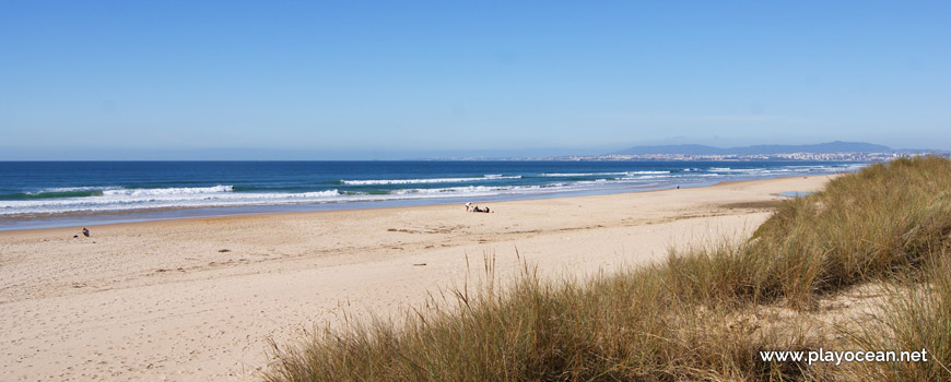 Sand of Praia da Rainha Beach