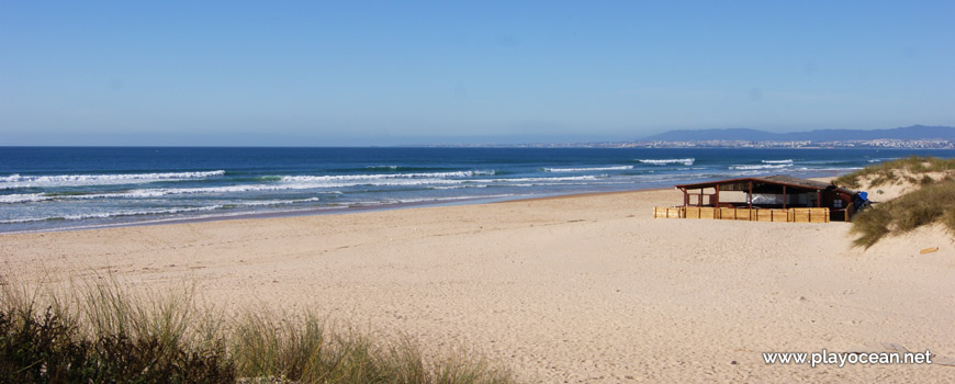 Praia do Rei Beach