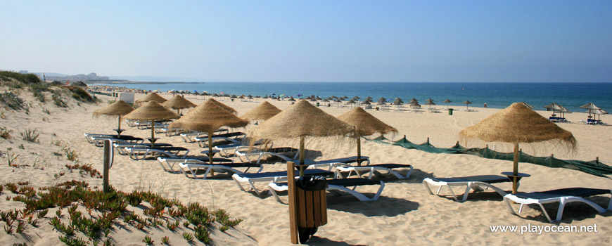 Concession of Praia de São João da Caparica Beach