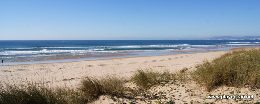 Praia da Sereia Beach