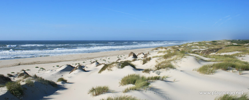 Praia das Dunas de São Jacinto