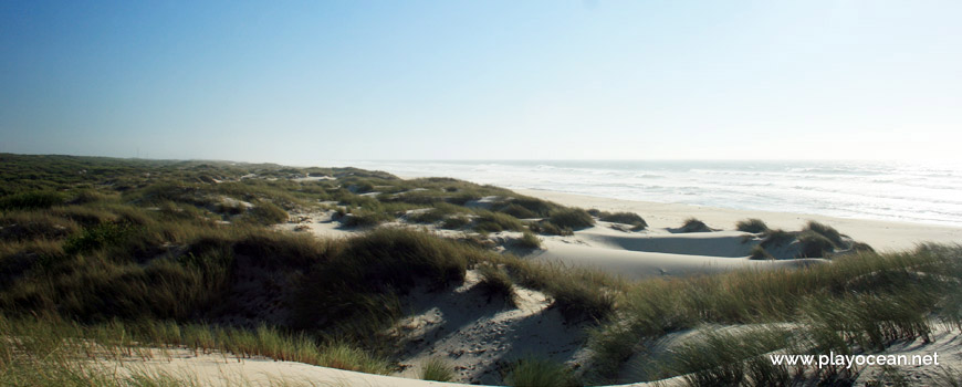 Dunas na Praia das Dunas de São Jacinto