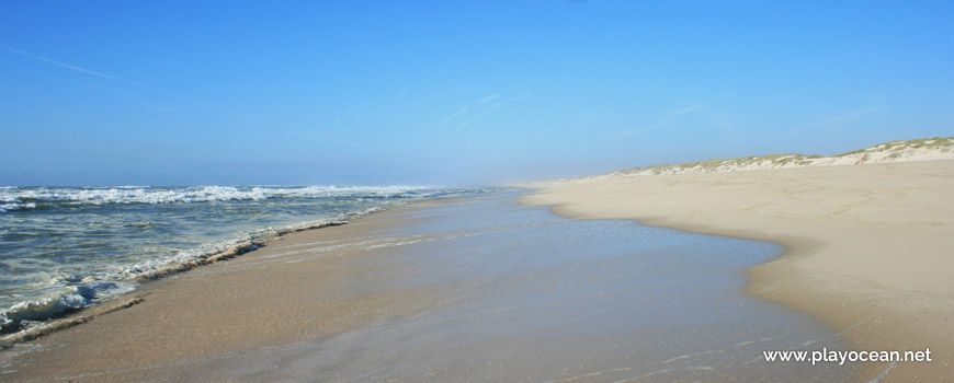 Norte da Praia das Dunas de São Jacinto