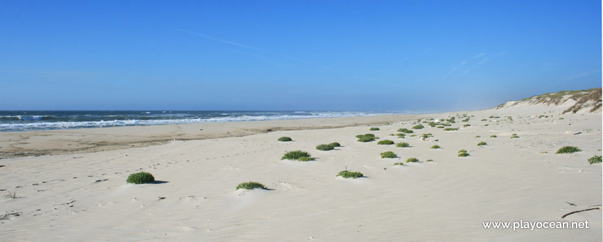 Areal, Praia das Dunas de São Jacinto