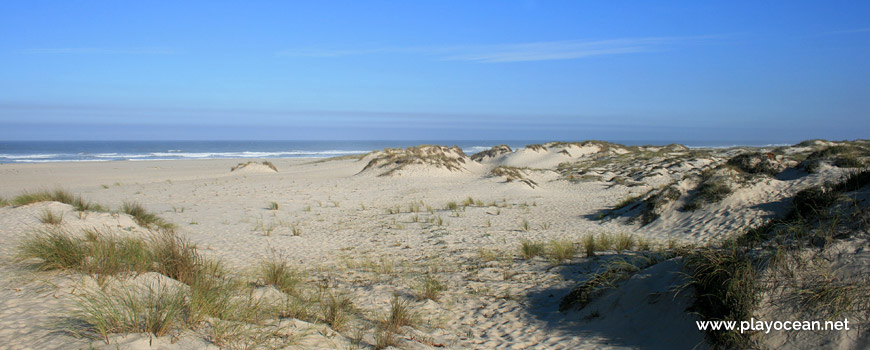 Dunes of Praia de São Jacinto Beach