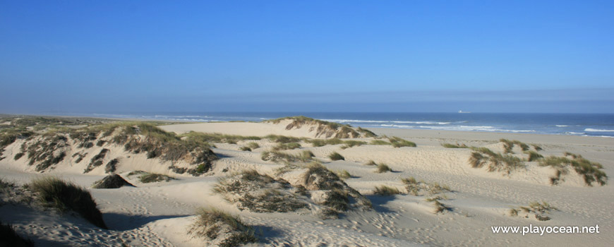 Dune at Praia de São Jacinto Beach