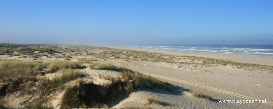 Praia de São Jacinto Beach