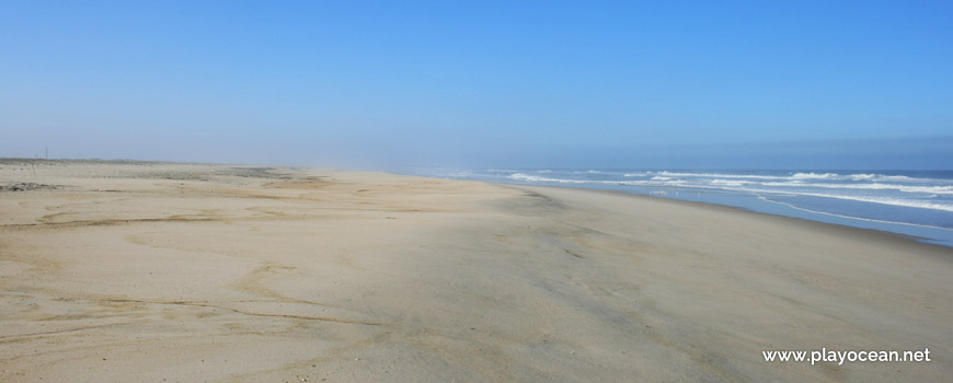 South of Praia de São Jacinto Beach