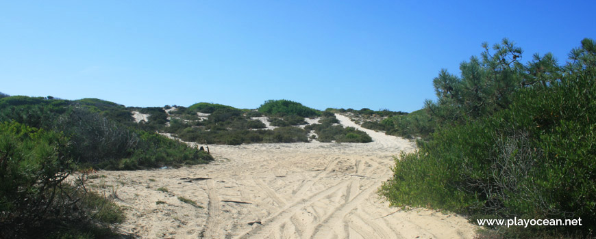 Trilhos para a Praia dos Almadoiros