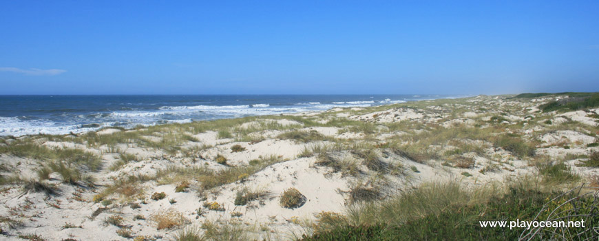 Dunes at Praia dos Almadoiros Beach