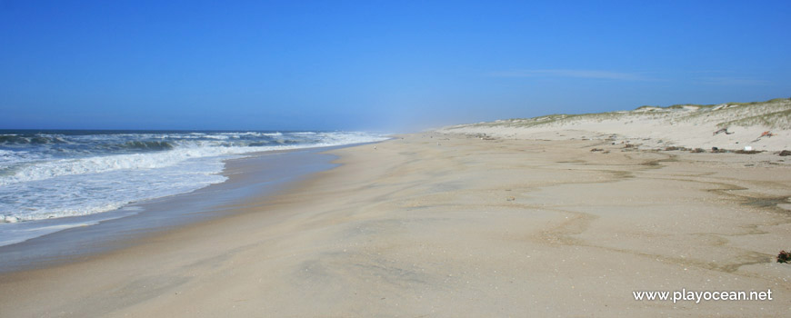 North of Praia dos Almadoiros Beach