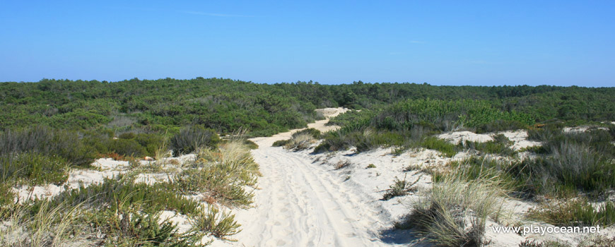 Path to Praia dos Almadoiros Beach