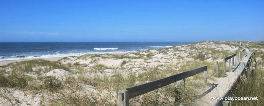 Dunes at Praia do Palheirão Beach