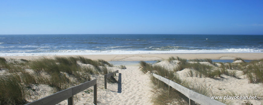 Access to Praia do Palheirão Beach