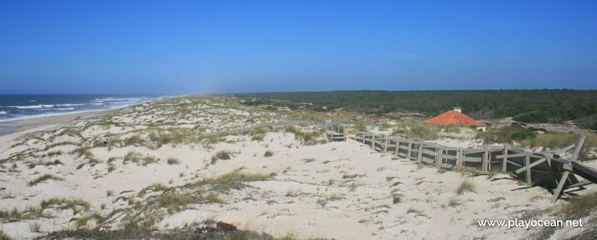 Dune system of Praia do Palheirão Beach