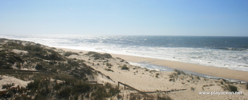 Praia do Palheirão