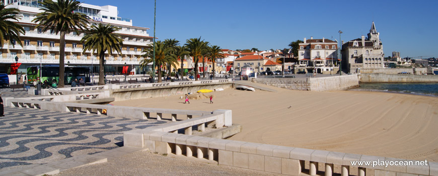 Palm trees at Praia da Ribeira de Cascais Beach