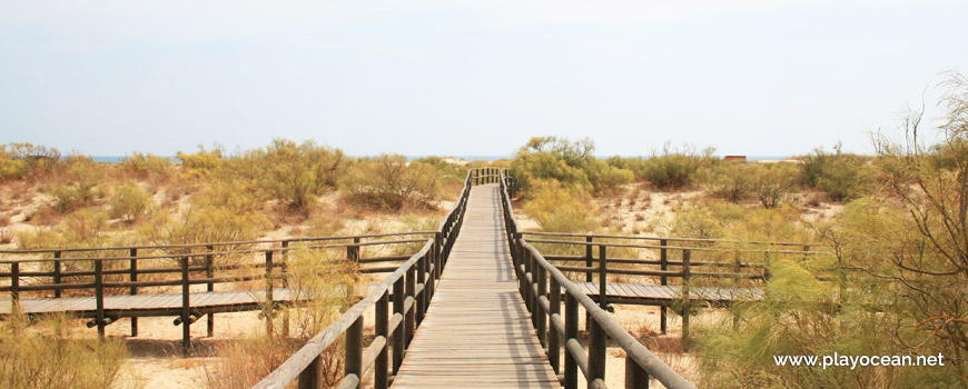 Access to Praia da Alagoa Beach