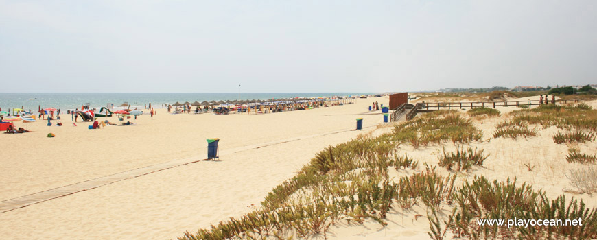 Oeste na Praia da Alagoa