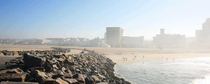 Houses of Espinho