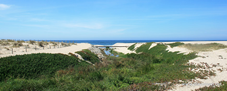 Mouth of the Mocho Stream