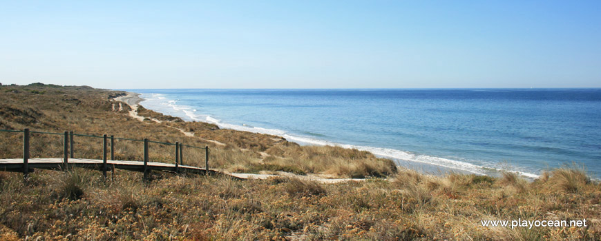 Dunes at Praia de Antas Beach