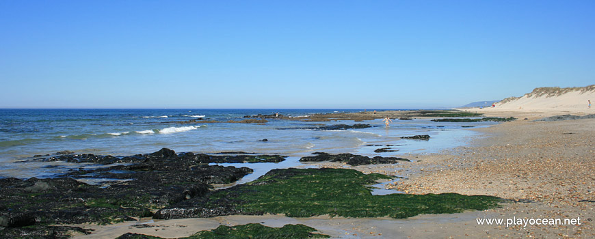 Beira-mar, Praia de Cepães