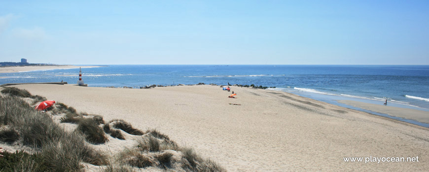 South of Praia de Esposende Beach